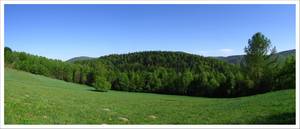 Panorama puszczańska.