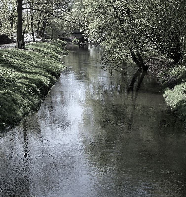 Zielony mosteczek