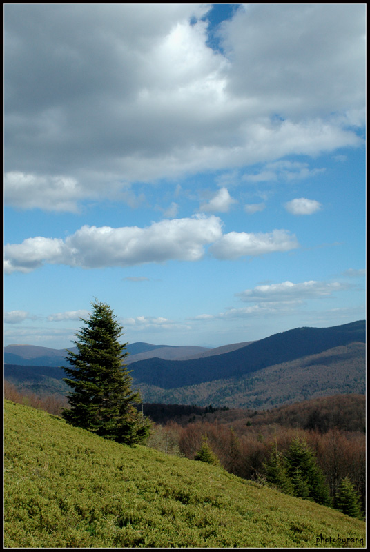 BieszCZADy