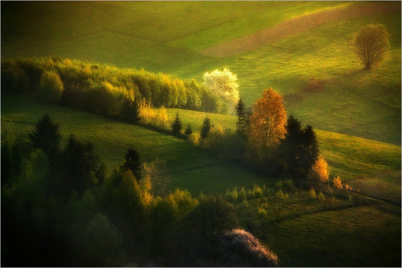 Pieniny