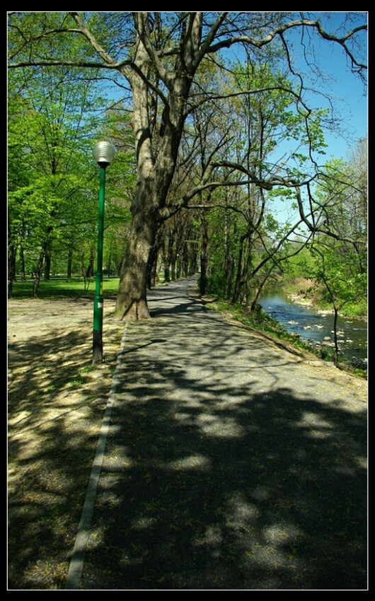 przez park