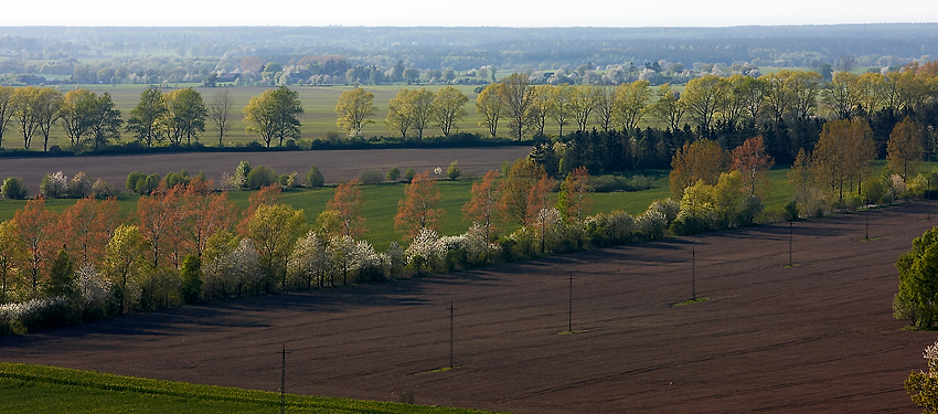 Wiosna jak jesień