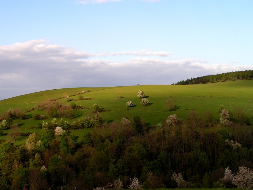 Beskid Niski popołudniową porą