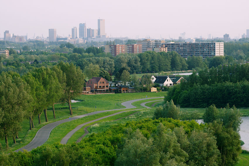 Widok na Rotterdam