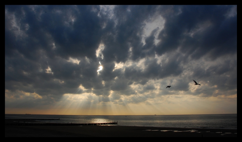 Noordzee