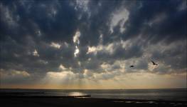 Noordzee