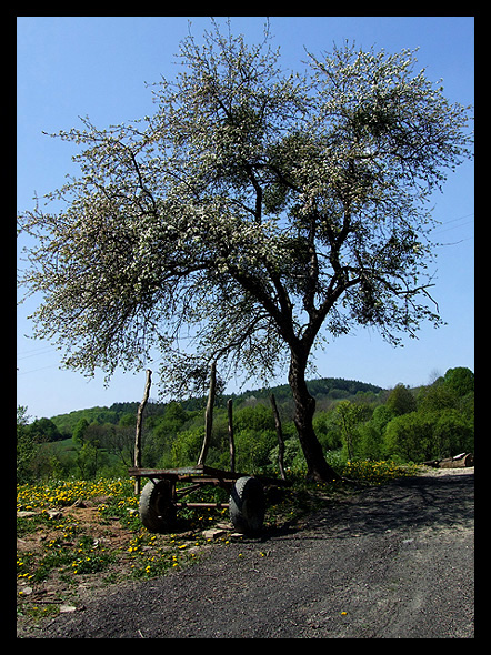 Kopyśno - wieś widmo