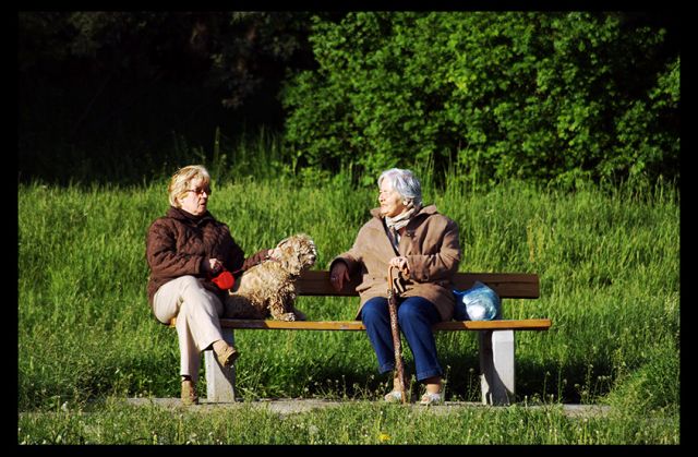 Pani Sąsiadko, a wczoraj ....