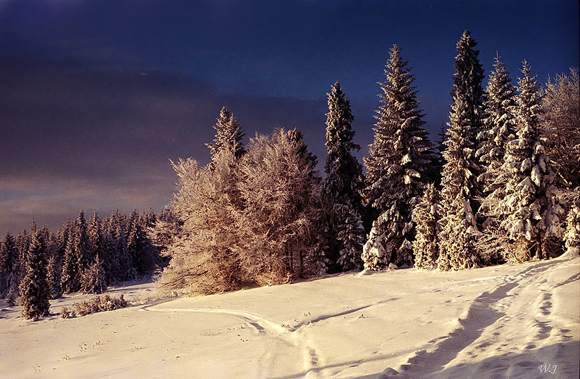 Beskid Wyspowy