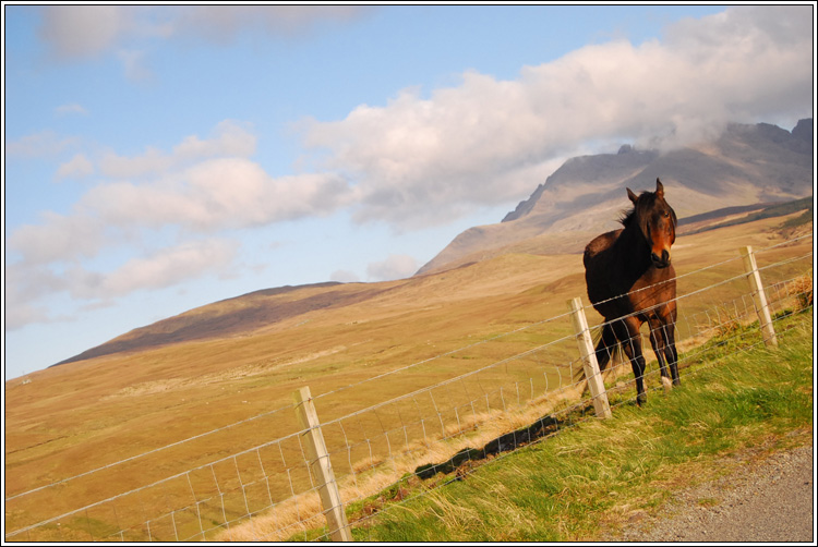 scotland