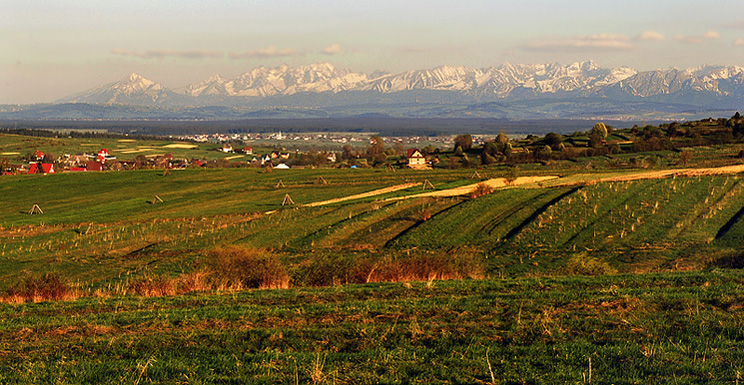 Widok na Tatry