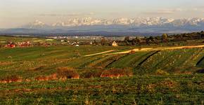 Widok na Tatry