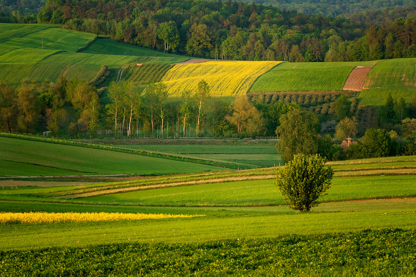 Majowe wędrówki