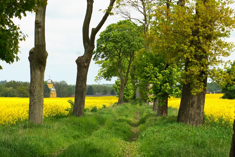 STUCHÓW