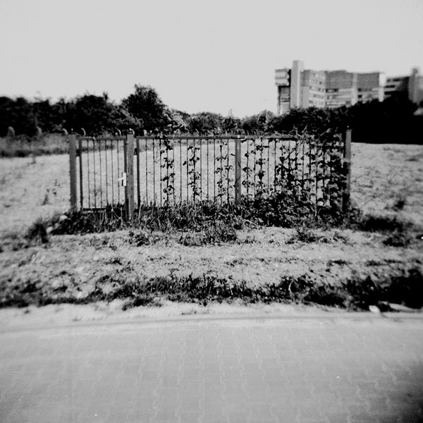 Holga #2