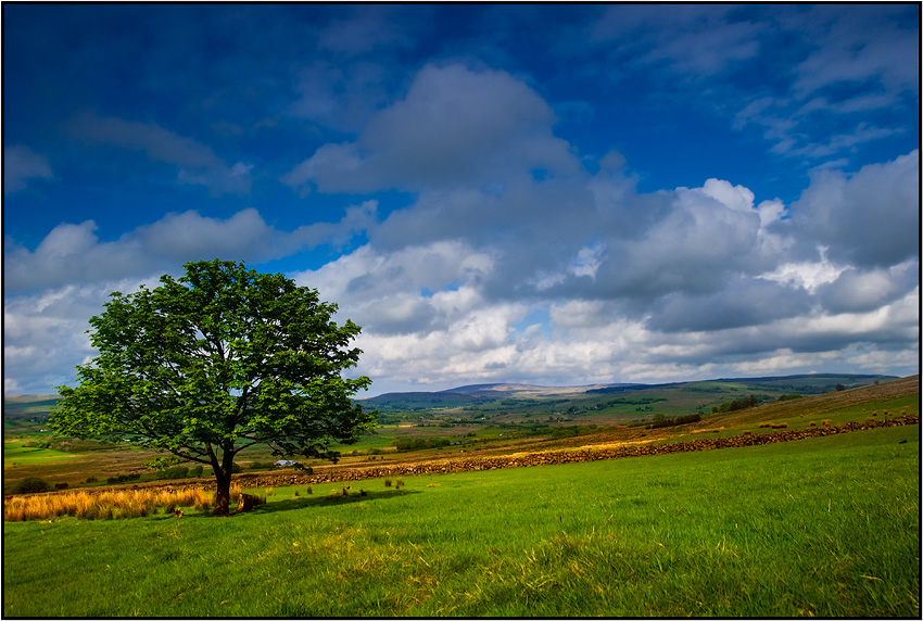 W drodze na Slemish...