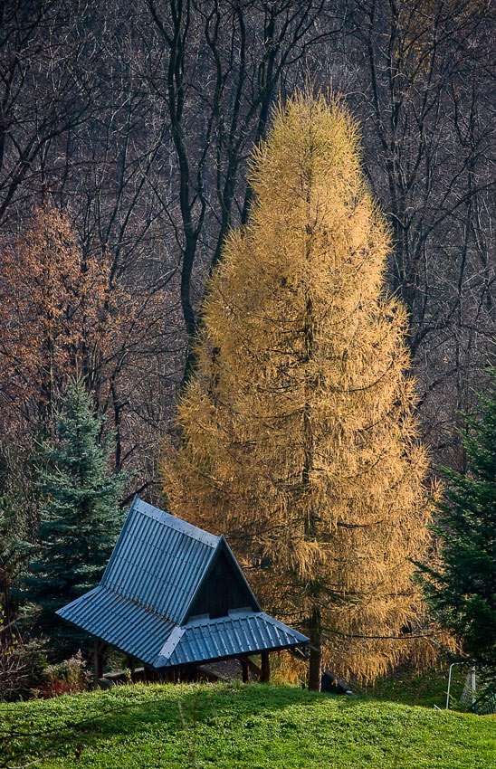 klasztorna samotnia