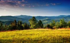 gorce, widok na beskid wyspowy