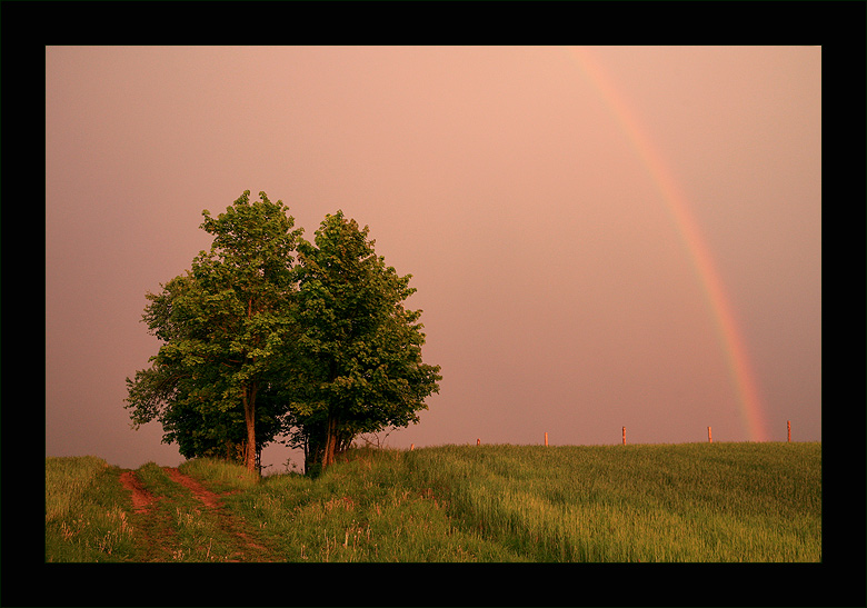 Catch The Rainbow