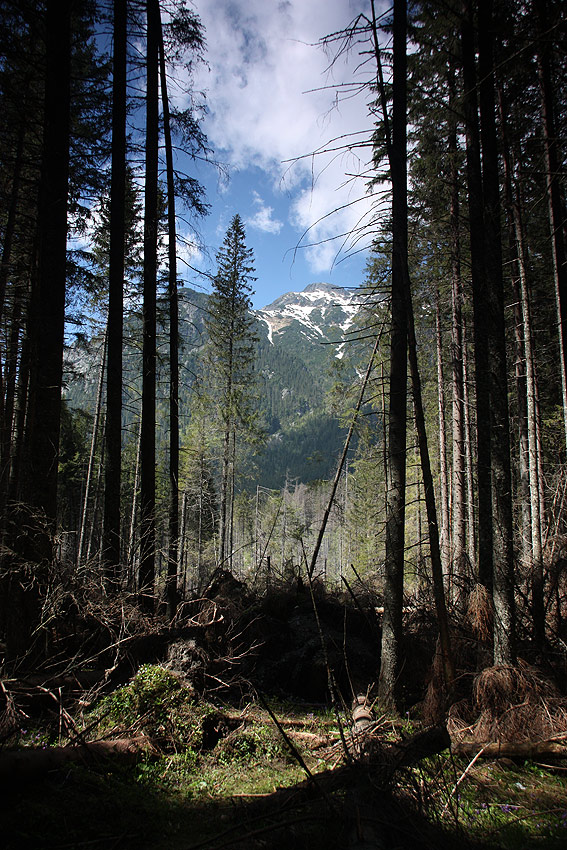 Tatry