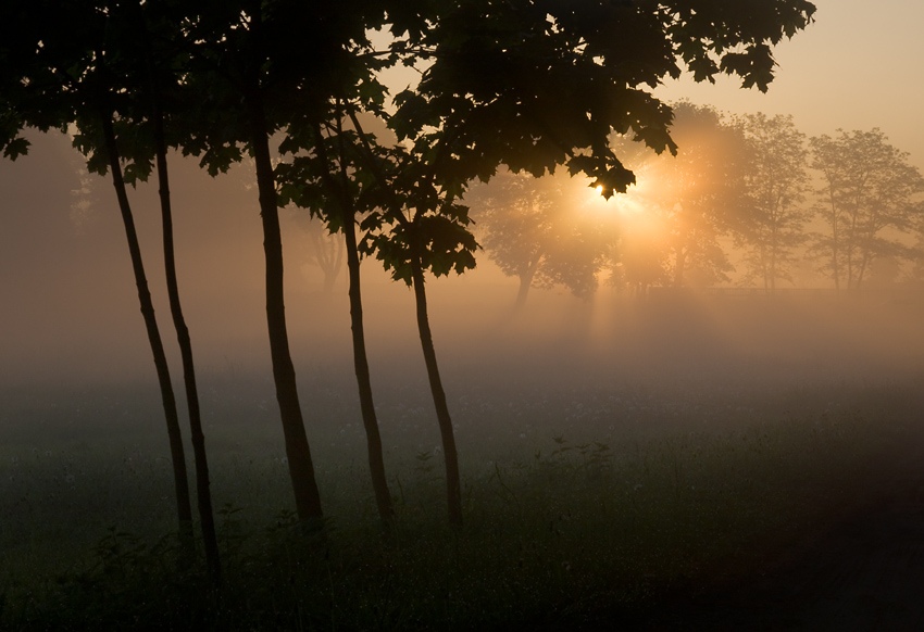 Park Krajobrazowy Wzniesień Łódzkich