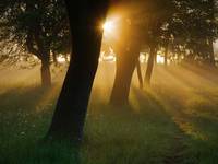 Park Krajobrazowy Wzniesień Łódzkich