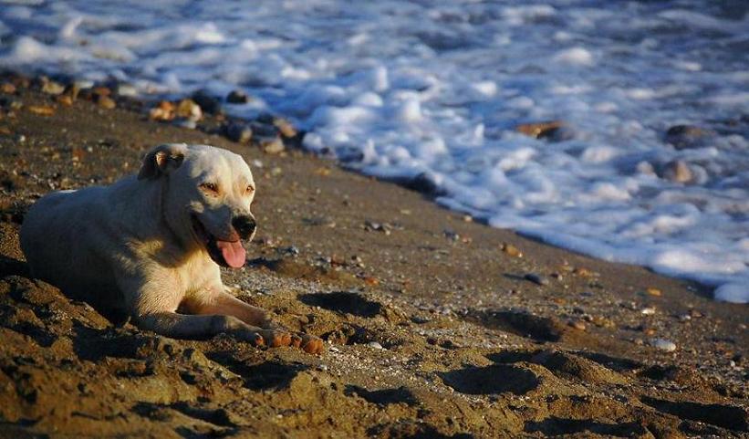 sun-bath