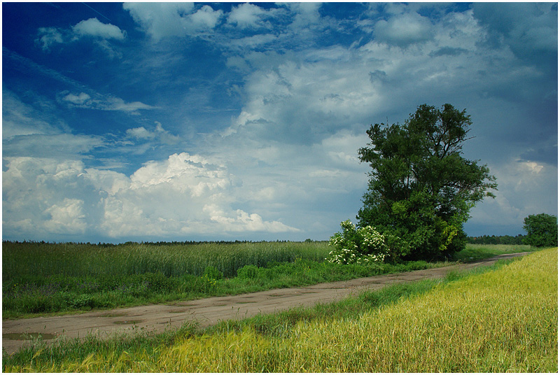 Przed burzą