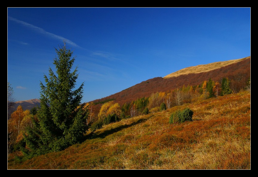 Bieszczady jesienne