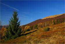 Bieszczady jesienne