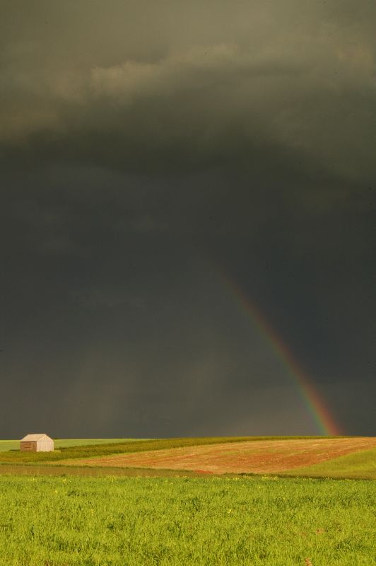 Podlasie. I fantazja niepotrzebna.