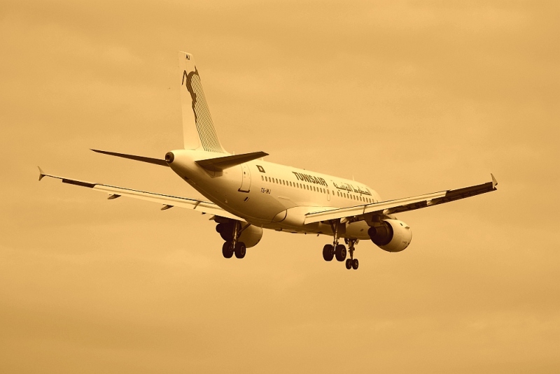 Airbus 319-100 - TunisAir