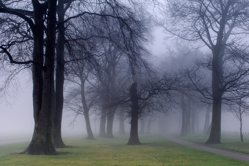 Sherdley Park