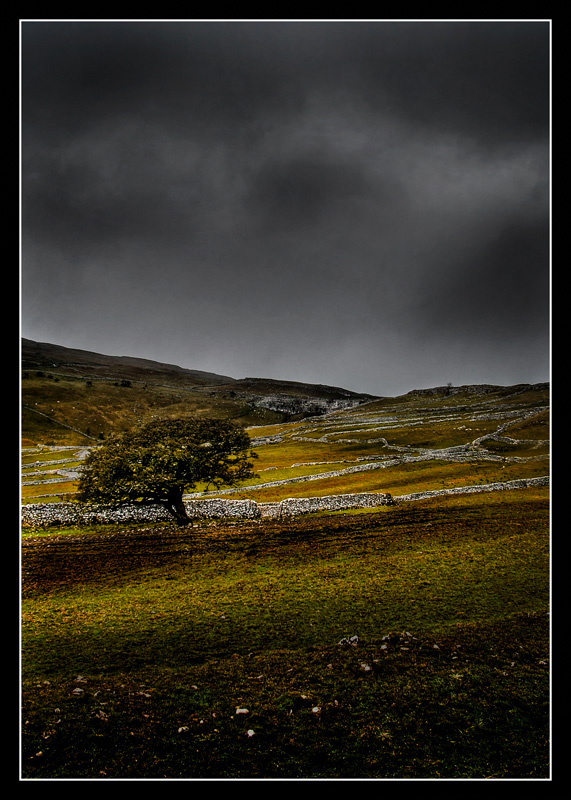 Yorkshire Dales - w oczekiwniu na burzę