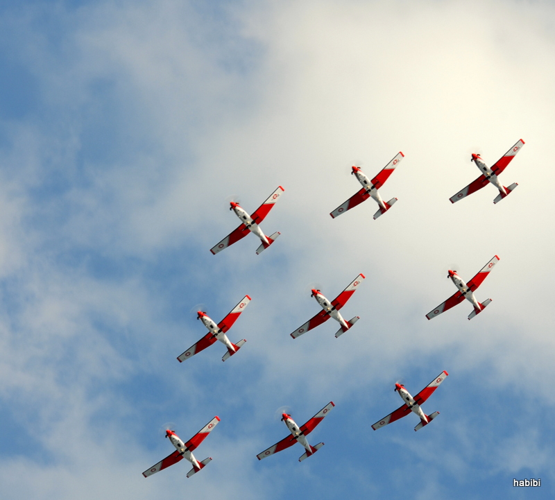 PC-7 Team  Swiss Air Force ;)