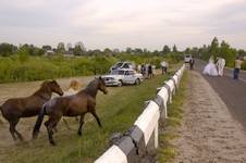 Polesie, Ukraina