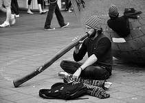 Didgeridoo