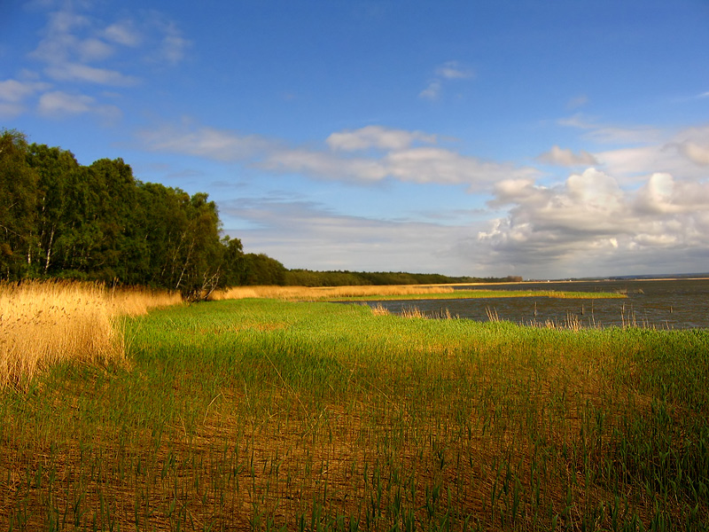 w wiosennych barwach nad wodą