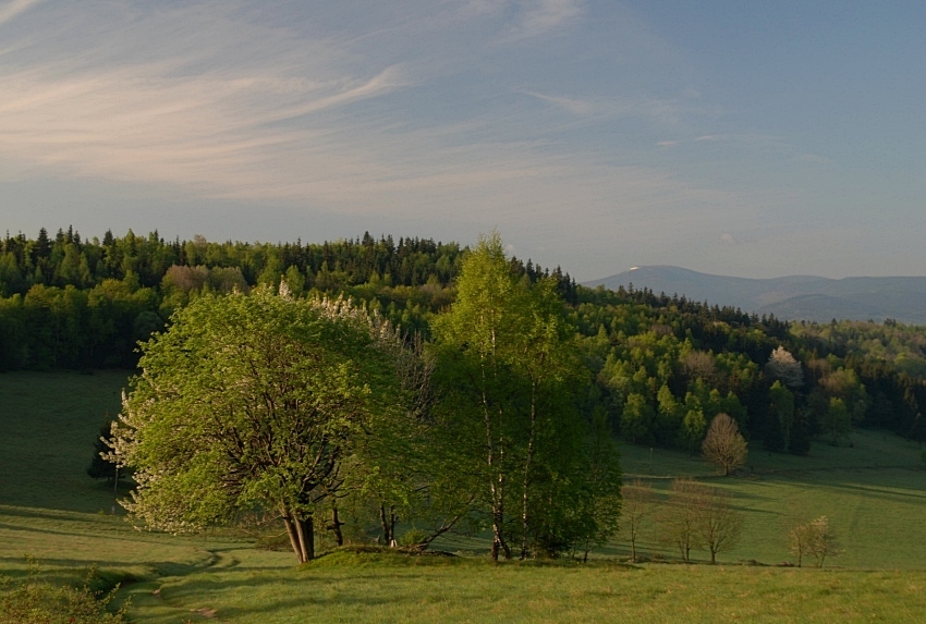 LUTYNIA (Ziemia Kłodzka)