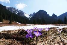 Dolina Kościeliska/Tatry