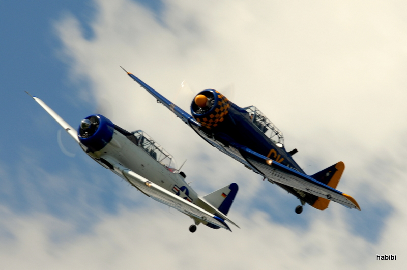 2x T-6 Harvard