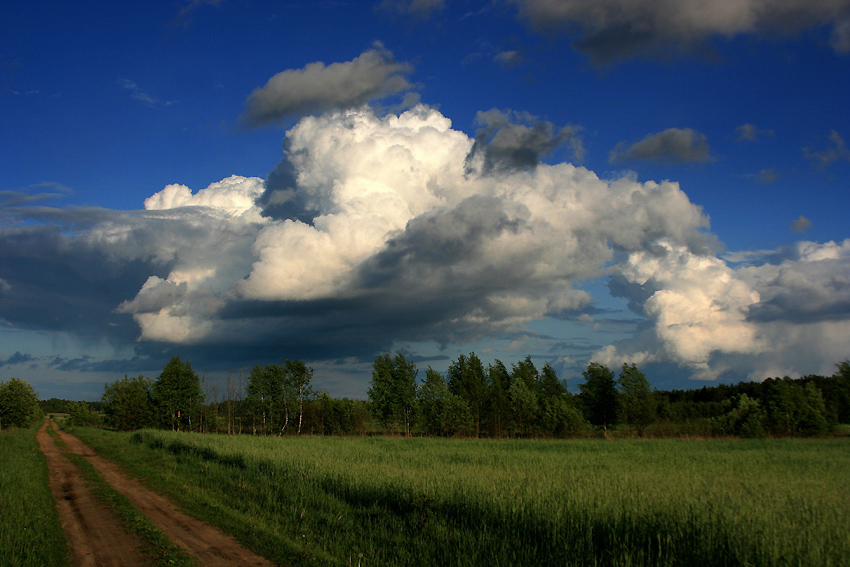 popołudnie na Podlasiu