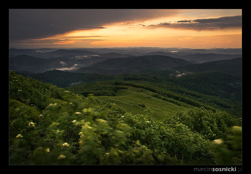 Bieszczady