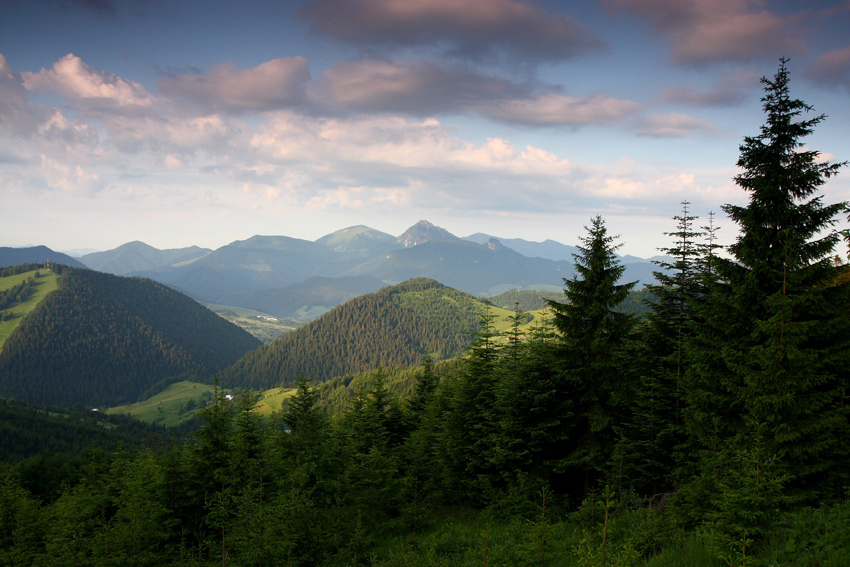 Mala Fatra (15.06.2009)