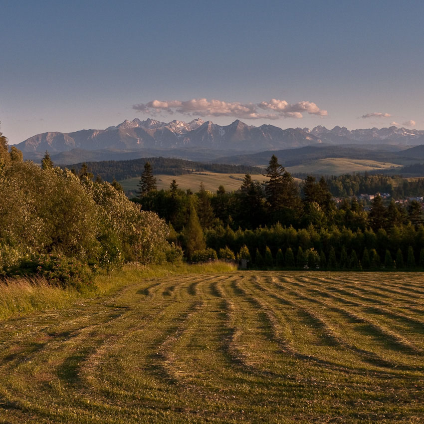 widok na Tatry z Czorsztyna