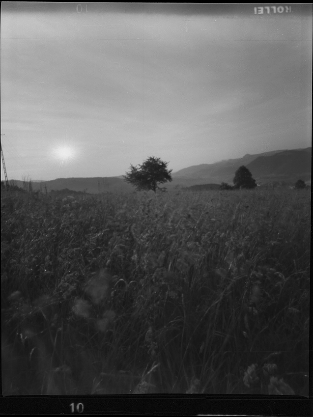 *** pinhole na wakacjach ***