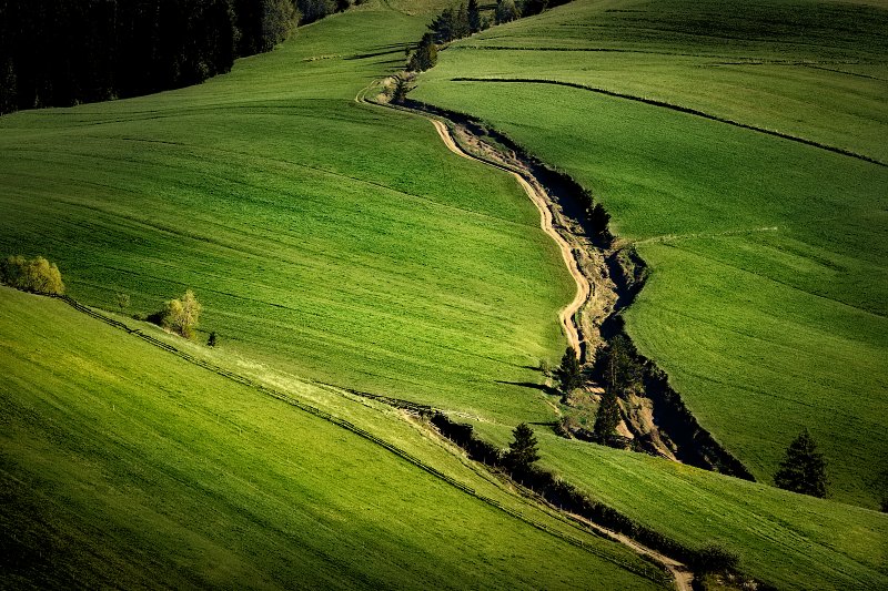 Pieniny