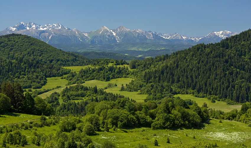 tatry