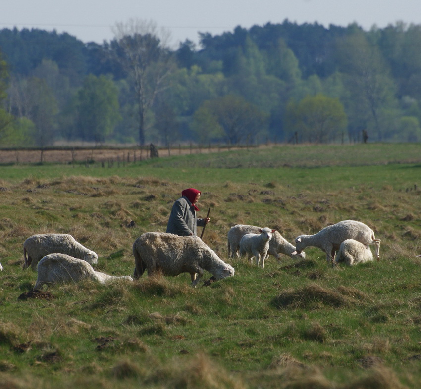 na Podlasiu