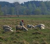 na Podlasiu